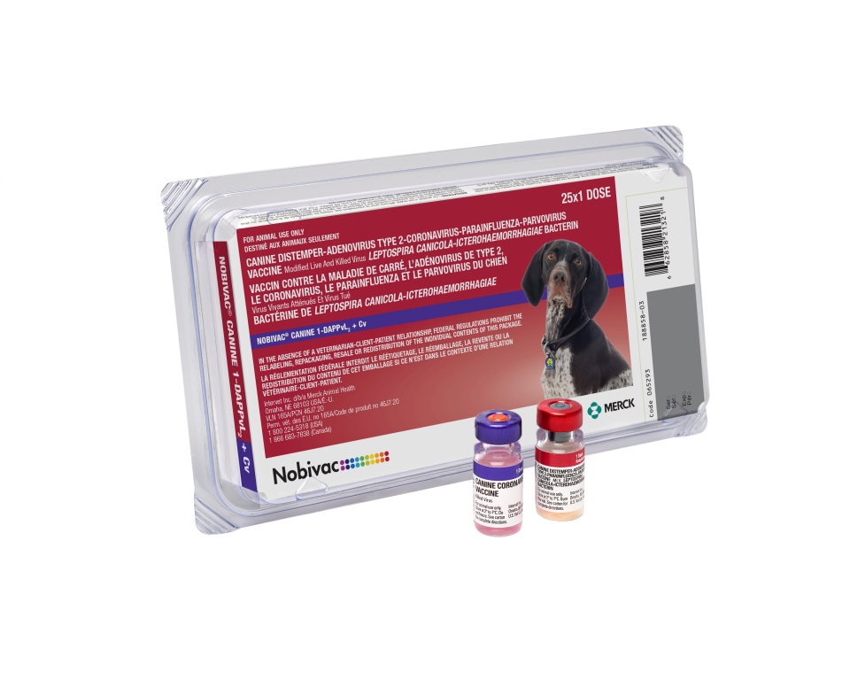 NOBIVAC K9 1-DAPPvL2+Cv 25/TRAY   *COLD*  exp.