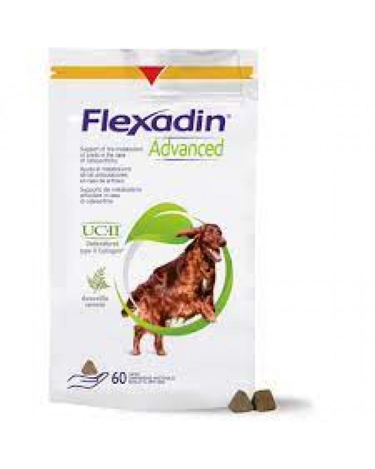 FLEXADIN ADVANCED CHEWS W/UCII 60/BG  exp.6/23